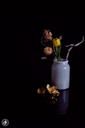 AlainGaletStillLife15.gif