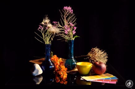 AlainGaletStillLife20.gif