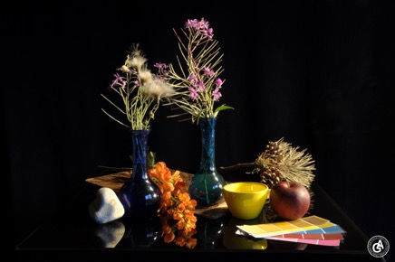 AlainGaletStillLife20.jpg