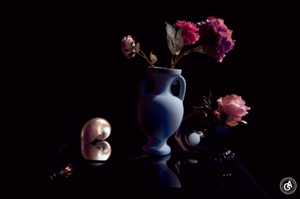 AlainGaletStillLife32.gif