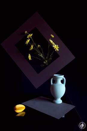 AlainGaletStilllife9.gif