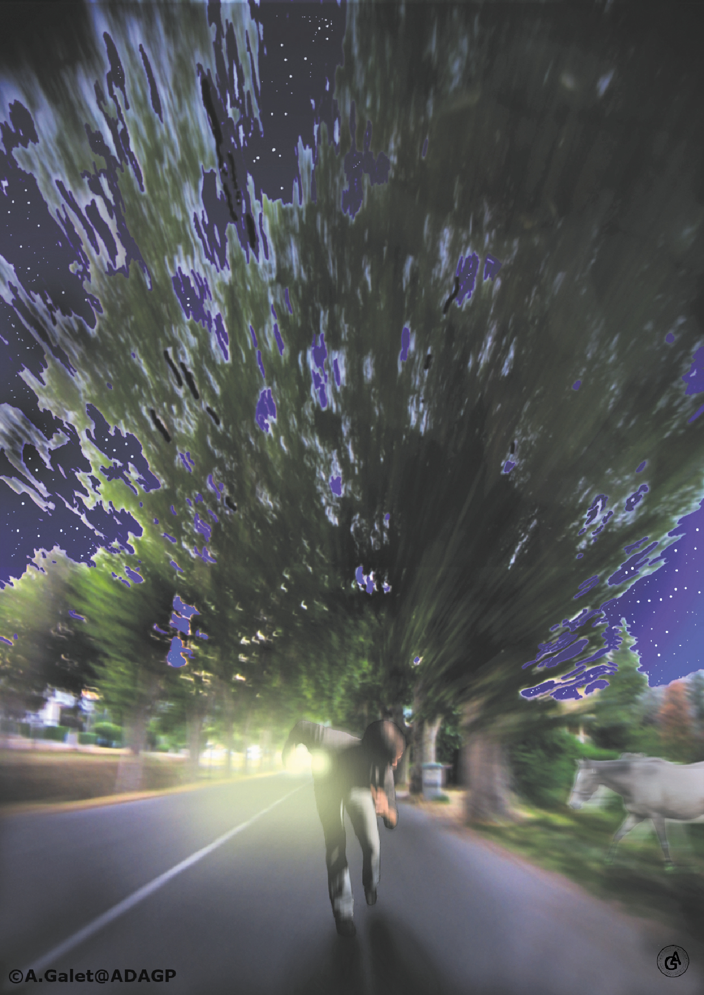 Nuit sous les arbres